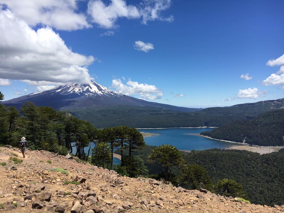 Parques nacionales de Chile Conguillio
