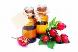 Read more about the article El aceite de Rosa Mosqueta también es considerado como un Serum….