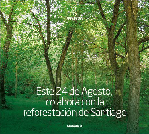 Read more about the article Sé parte de una Iniciativa Social y Ambiental de @WeledaChile ¡¡Inscríbete y Planta un árbol!!