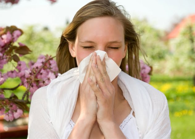 Read more about the article ¿Cómo combatir las alergias primaverales de forma natural?