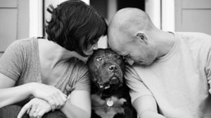 Read more about the article Bellas Fotos: El último abrazo al mejor amigo del hombre…..el perro.