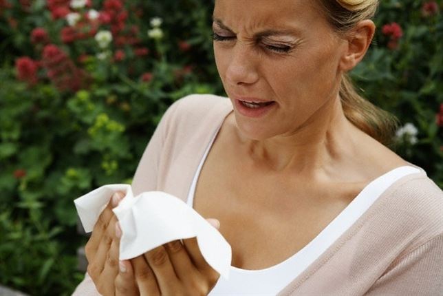 Read more about the article Todo lo que debes saber sobre las alergias de invierno