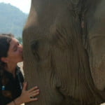 Elefantes en Tailandia: mi experiencia en un centro de Rescate