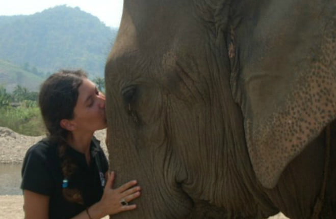 You are currently viewing Elefantes en Tailandia: mi experiencia en un centro de Rescate