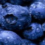 Beneficios del blueberry o arándano azul