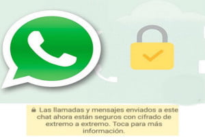 Read more about the article Whatsapp cambió el nuevo cifrado de sus mensajes