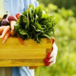 Productos orgánicos: opciones para complementar tu alimentación