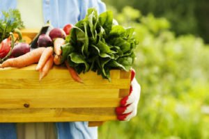 Read more about the article Productos orgánicos: opciones para complementar tu alimentación