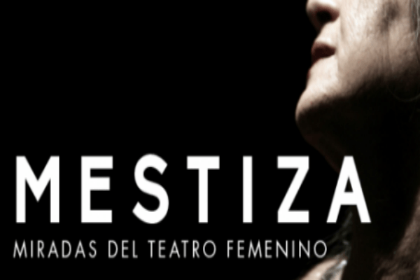 You are currently viewing Mestiza 2016, el encuentro del teatro femenino