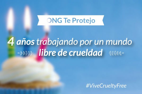 Read more about the article ONG Te Protejo cumple 4 años promoviendo la cosmética Cruelty Free
