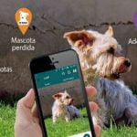 Conoce a “Wof”, la app que todo dog lover debe tener