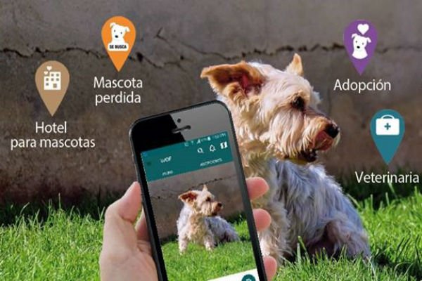 Read more about the article Conoce a “Wof”, la app que todo dog lover debe tener