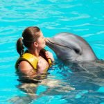 5 razones por las que no debes nadar con delfines