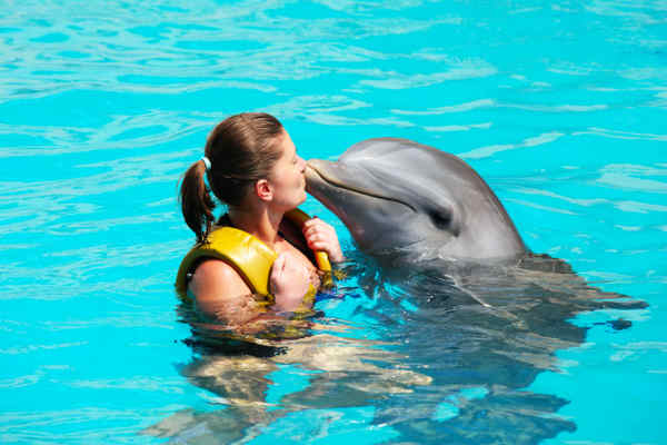 Read more about the article 5 razones por las que no debes nadar con delfines