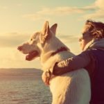 3 razones concretas porque el amor por los perros beneficia a nuestra salud