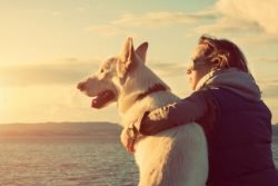 Read more about the article 3 razones concretas porque el amor por los perros beneficia a nuestra salud