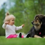 Los beneficios de tener un perro en la familia