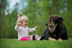 Read more about the article Convivir con perros evitaría que bebés sufran ciertas infecciones