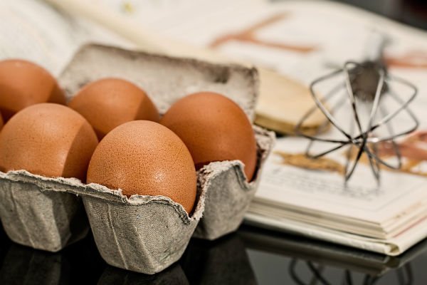 Read more about the article ¿Puede el huevo ser un aliado para bajar de peso?