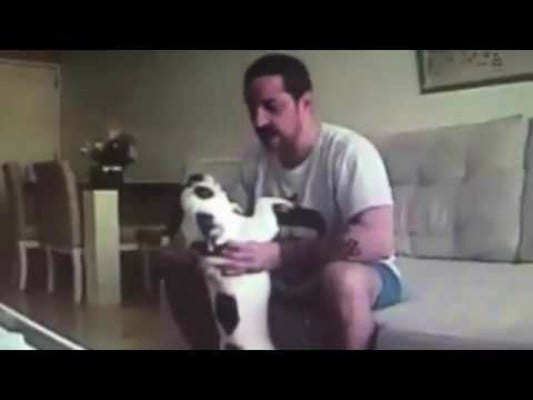 You are currently viewing ¿Qué harías si tu novio maltrata a tu perro? Mira este brutal video