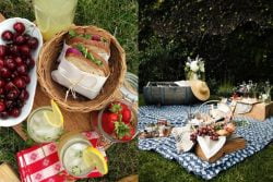 Read more about the article Ideas para picnic: qué llevar para una experiencia inolvidable