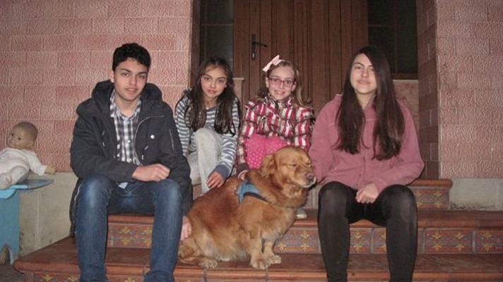 Read more about the article La increíble historia de Tuto un perro perdido que apareció a 2 mil kilómetros de su casa