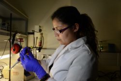 Read more about the article ¿Eres chilena y científica? Premio “Women in science” 2017 abre sus postulaciones!