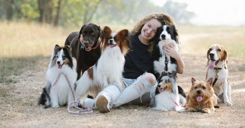 You are currently viewing 5 datos increíbles de la relación entre perros y humanos