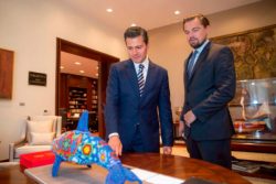 Read more about the article La Fundación DiCaprio invertirá en salvar la vida de la vaquita marina en México