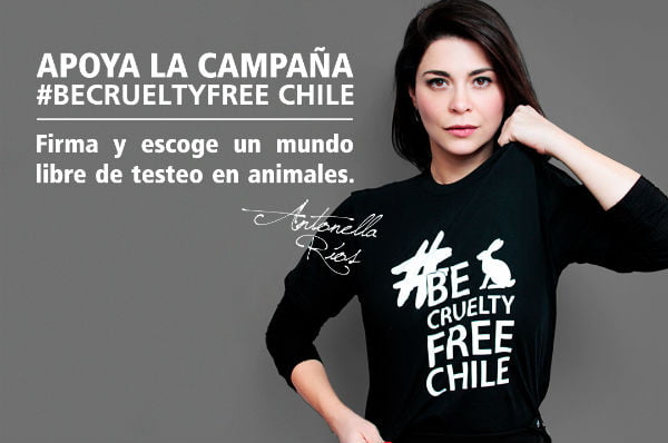 Read more about the article Be Cruelty Free Chile quiere terminar con el testeo en animales para cosmética