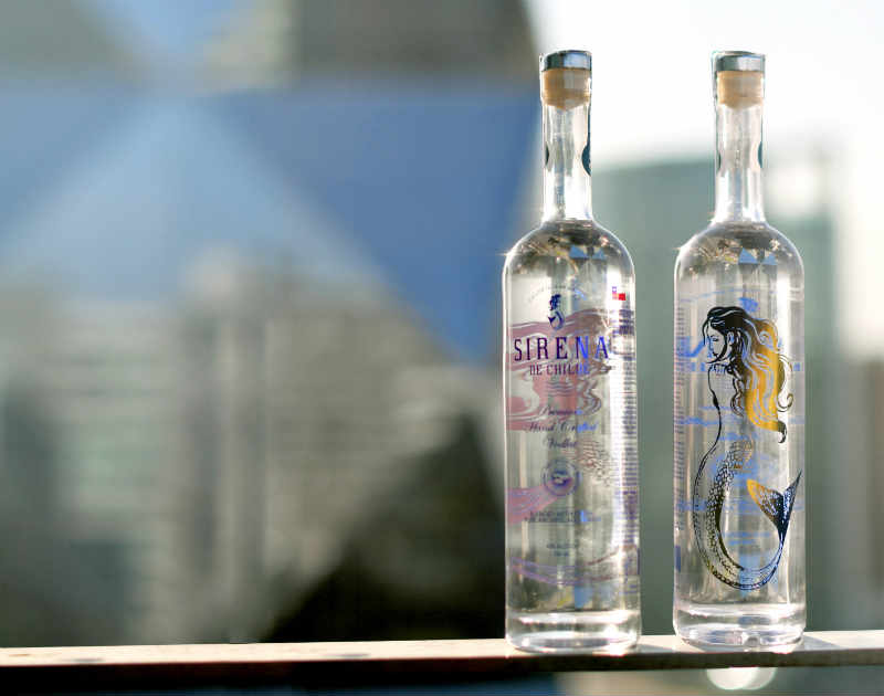 You are currently viewing Lanzan el primer vodka chileno apto para celíacos