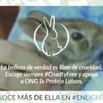 ONG Te Protejo se une a Enlightaid para lograr una América Latina Cruelty Free