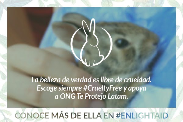 You are currently viewing ONG Te Protejo se une a Enlightaid para lograr una América Latina Cruelty Free