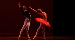 Read more about the article No te pierdas el XXIII Festival Internacional de Ballet de Miami