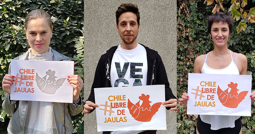 Famosos chilenos se unen para defender a las gallinas junto a Fundación Vegetarianos Hoy