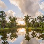 No dejes de visitar el Jardín Botánico Tropical Fairchild cuando vengas a Miami