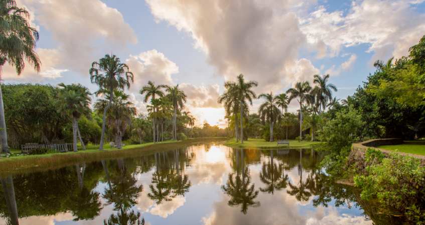 You are currently viewing No dejes de visitar el Jardín Botánico Tropical Fairchild cuando vengas a Miami