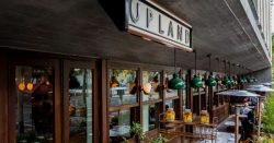 Read more about the article En Upland podrás degustar la comida californiana en Miami