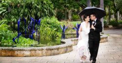 Read more about the article Con bodas virtuales reabre el Jardín Botánico Tropical Fairchild