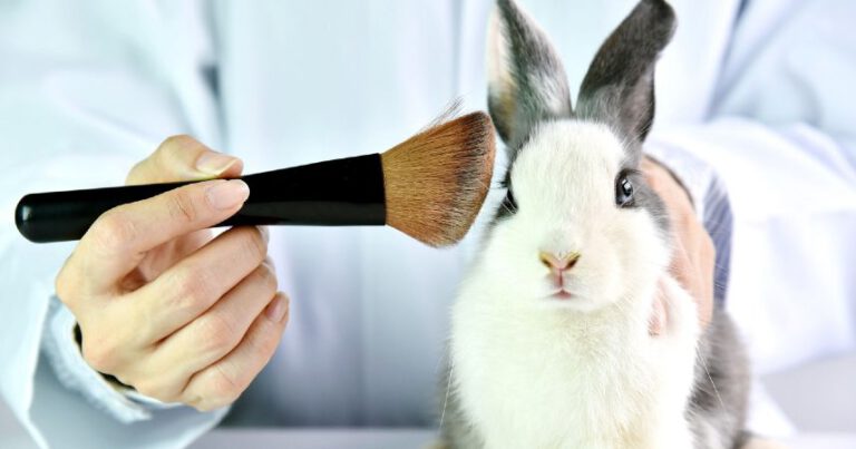 Read more about the article Consejos para identificar un producto cruelty free