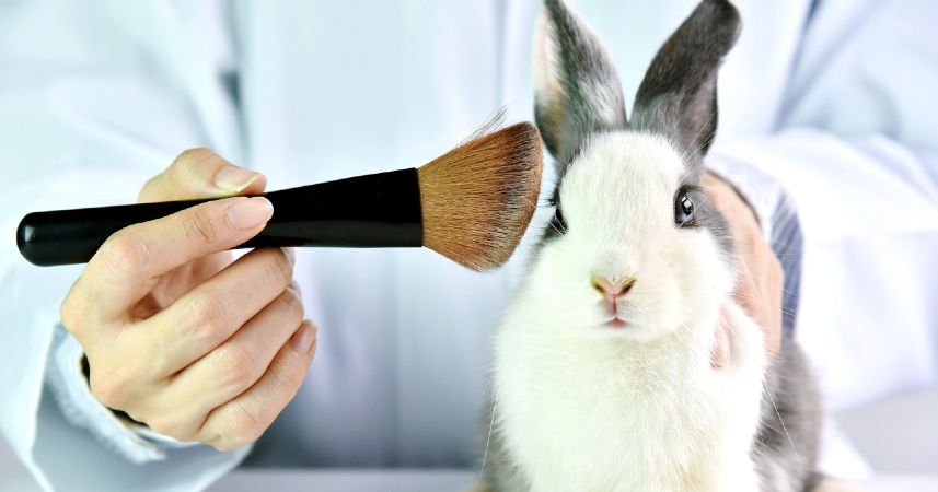 You are currently viewing Consejos para identificar un producto cruelty free