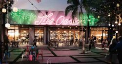 Read more about the article Descubre el nuevo Oasis en Miami