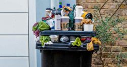 Read more about the article Tips para el desperdicio de comida