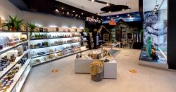 Read more about the article Pulpería Echinuco inaugura tienda en Mall Arauco Maipú con una gran variedad de productos artesanales y culinarios