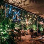 Peacock Garden en Coconut Grove es el mejor lugar para cenar al aire libre