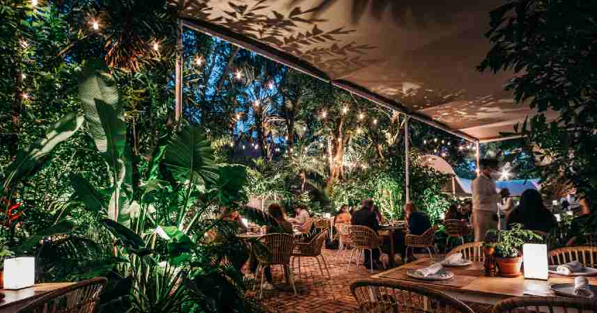You are currently viewing Peacock Garden en Coconut Grove es el mejor lugar para cenar al aire libre