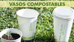 Read more about the article Del delivery a la tierra: Vasos “compostables” pueden convertirse en tu próximo huerto