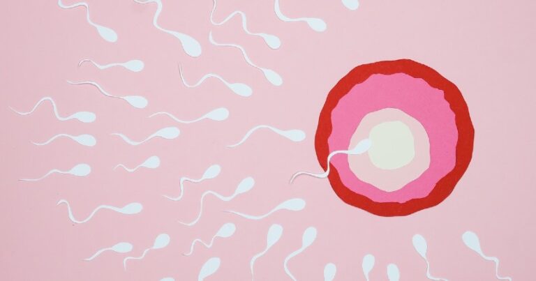 Read more about the article El óvulo decide qué espermatozoide entra, la ciencia lo comprueba