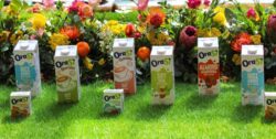 Read more about the article ORASÍ refresca la imagen de su línea plant base y estrena sabor avena en Chile