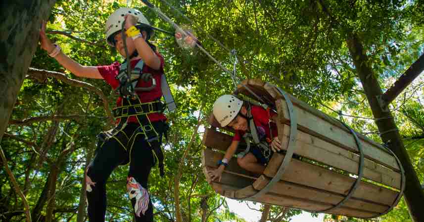 You are currently viewing Miami Treetop Trekking ofrece emocionantes aventuras aéreas al aire libre en un entorno selvático